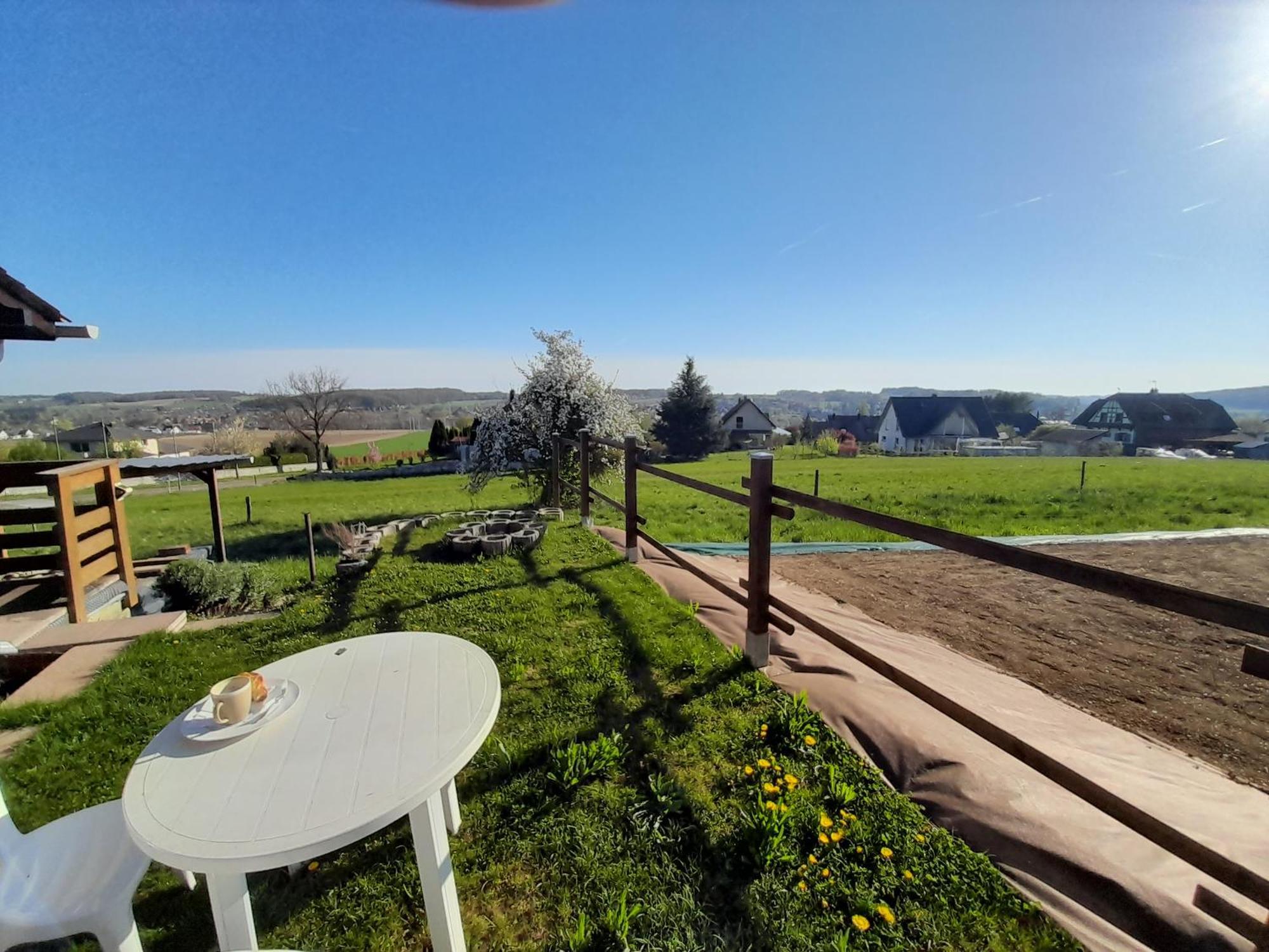 Location Type Gite, Chambre D'Hote, Meuble De Tourisme Dans Joli Petit Chalet Typique Et Ou Jolie Roulotte Type Boheme Waldighoffen Kültér fotó